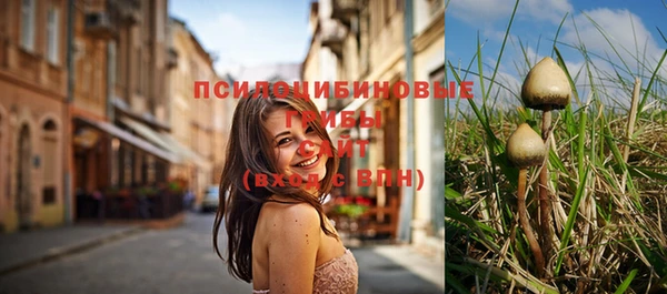 spice Медвежьегорск