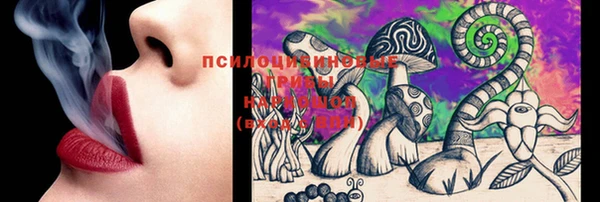 spice Медвежьегорск