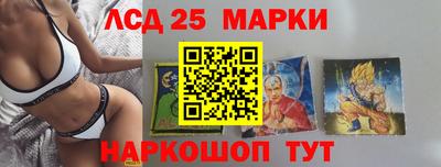 СК Волгодонск