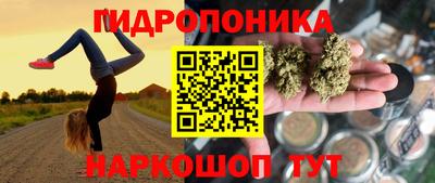 шишки Моздок