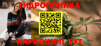 шишки Моздок