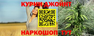шишки Моздок