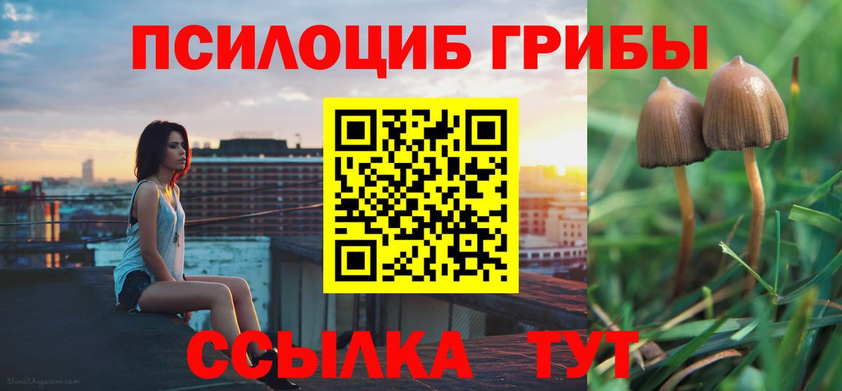 Галлюциногенные грибы прущие грибы  цены   Шарыпово  Вход с VPN  Псилоцибиновые грибы Magic Shrooms 