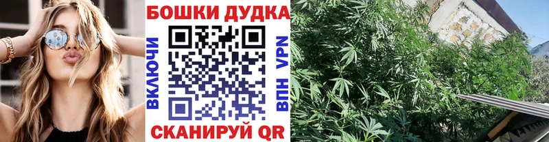 магазин    Шарыпово  Шишки марихуана MAZAR 