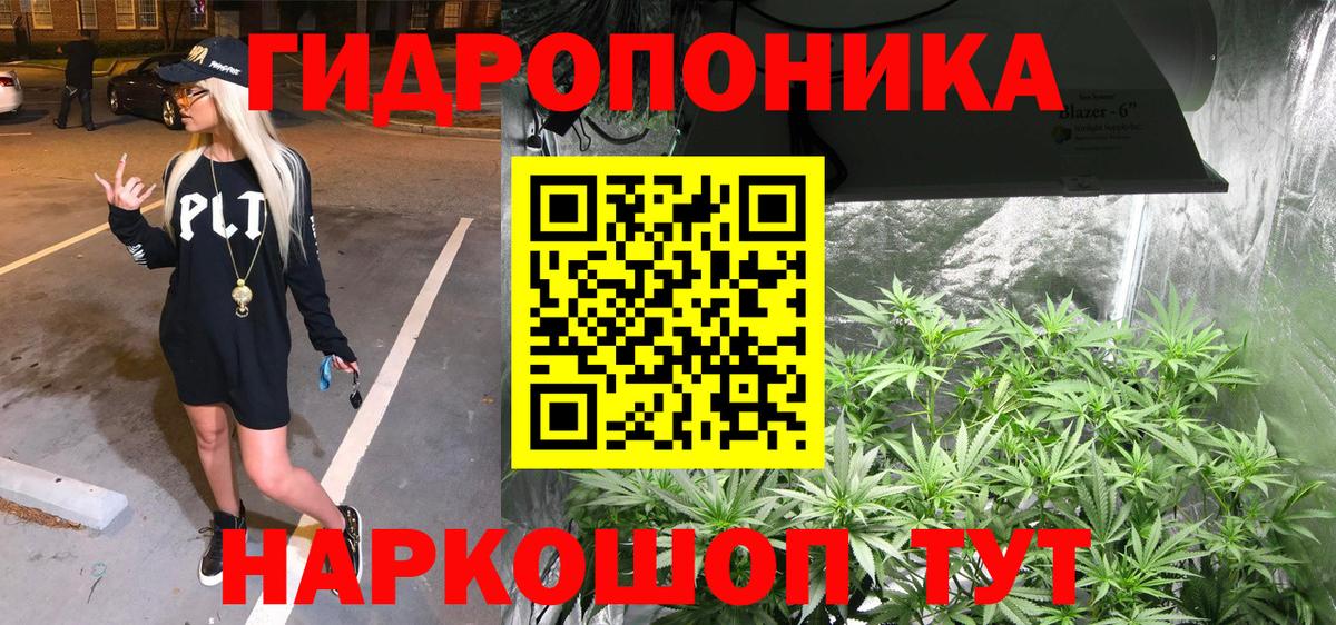 Конопля индика Шарыпово